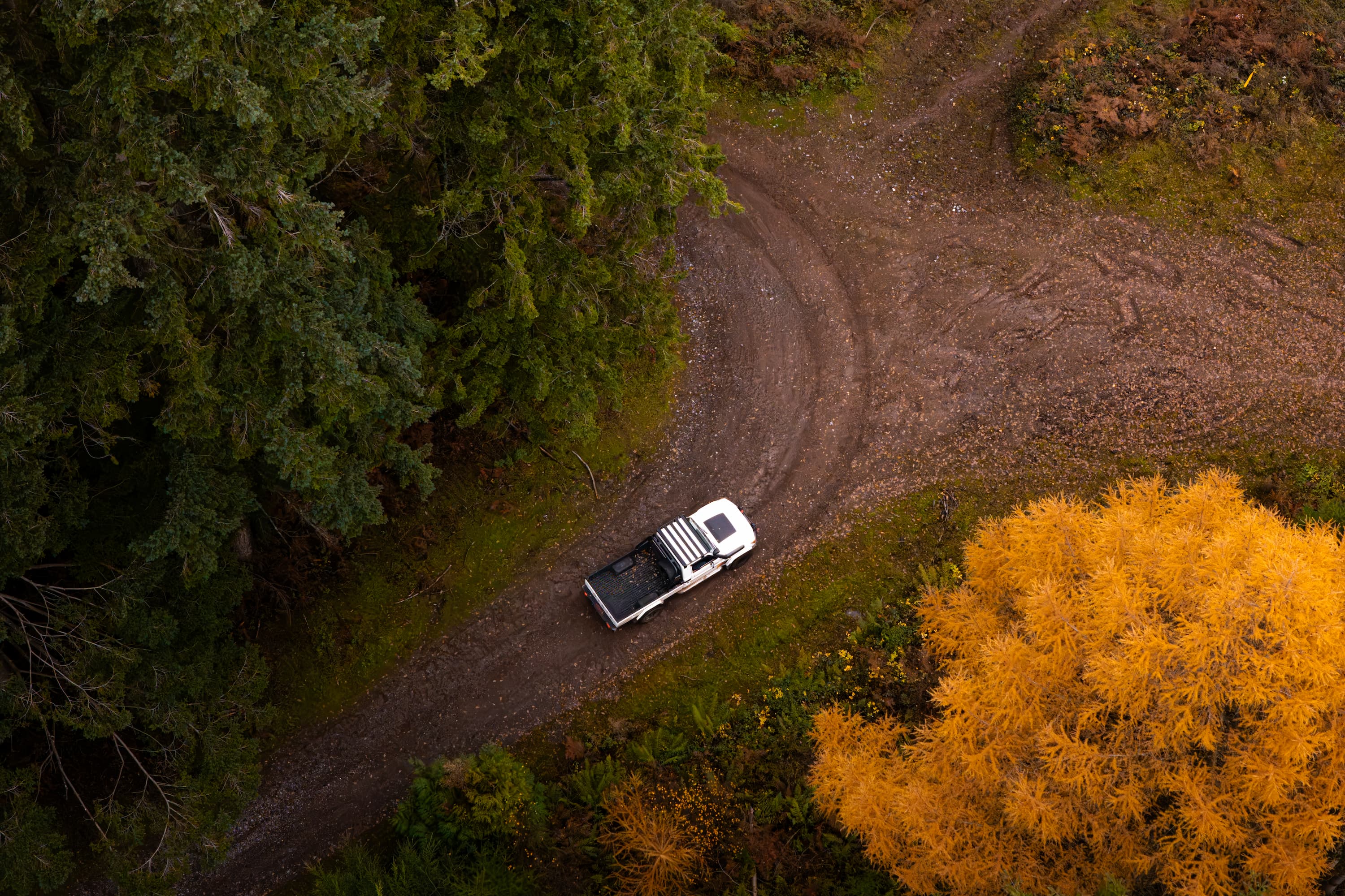 vehicle sourcing